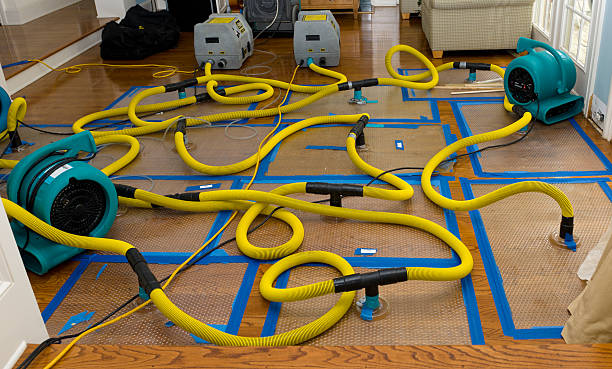 Professional Water Damage Restoration technician working in Sykesville, MD